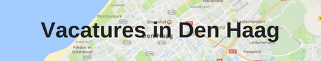 vacatures in den haag